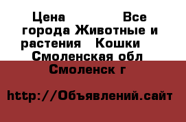 Zolton › Цена ­ 30 000 - Все города Животные и растения » Кошки   . Смоленская обл.,Смоленск г.